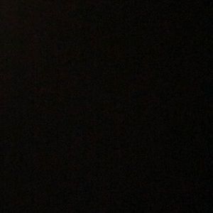 Meet your Posher, Rose